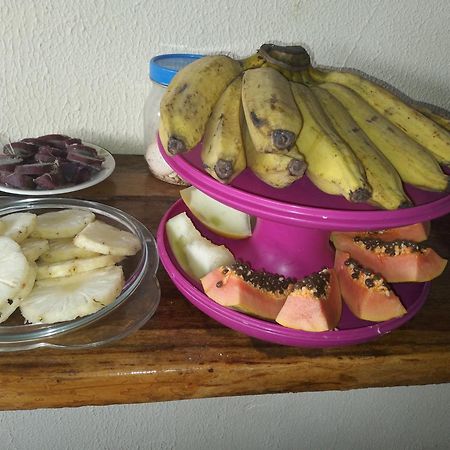 Pousada Shalom E Hostel Holly Land Santo Amaro do Maranhao Екстериор снимка