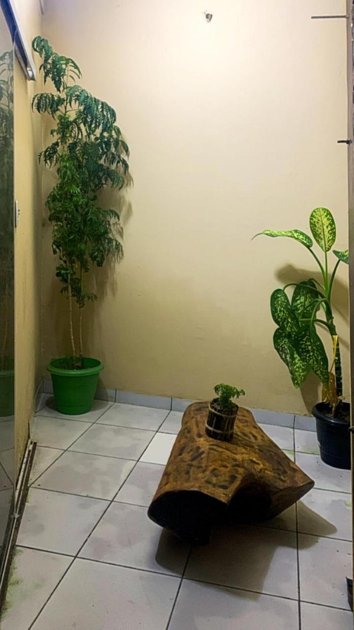 Pousada Shalom E Hostel Holly Land Santo Amaro do Maranhao Екстериор снимка