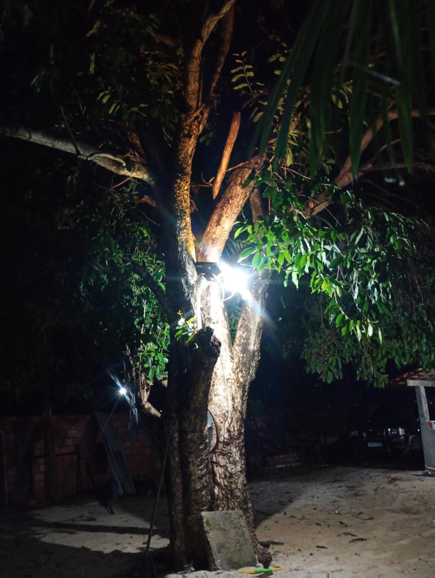 Pousada Shalom E Hostel Holly Land Santo Amaro do Maranhao Екстериор снимка