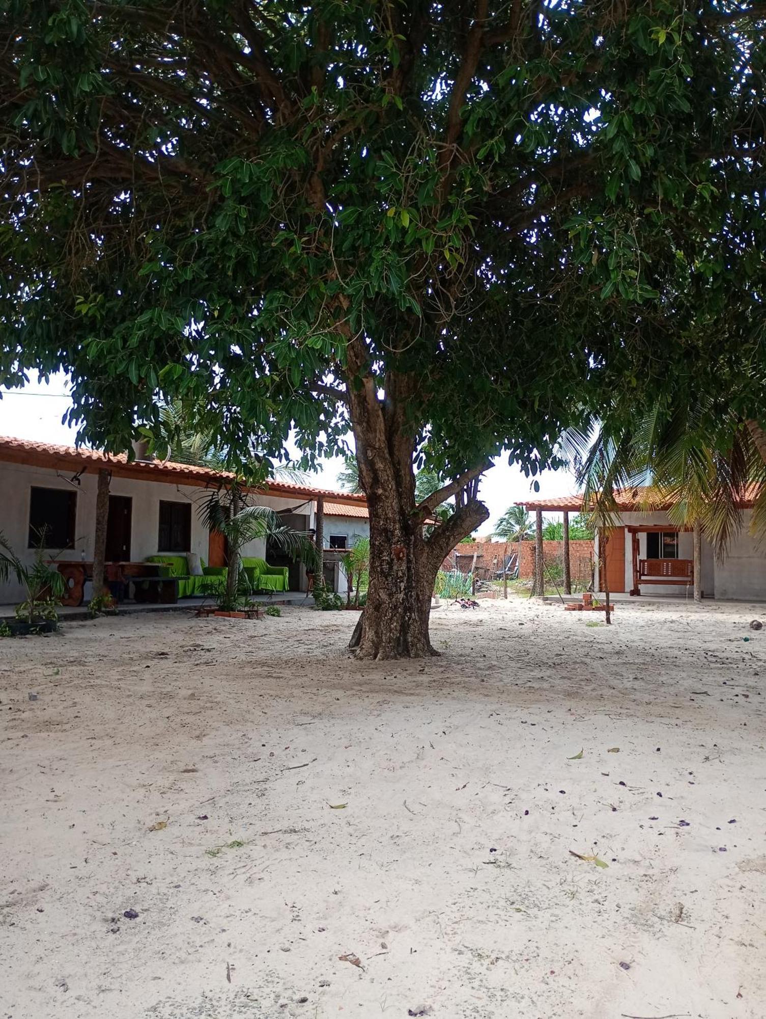 Pousada Shalom E Hostel Holly Land Santo Amaro do Maranhao Екстериор снимка