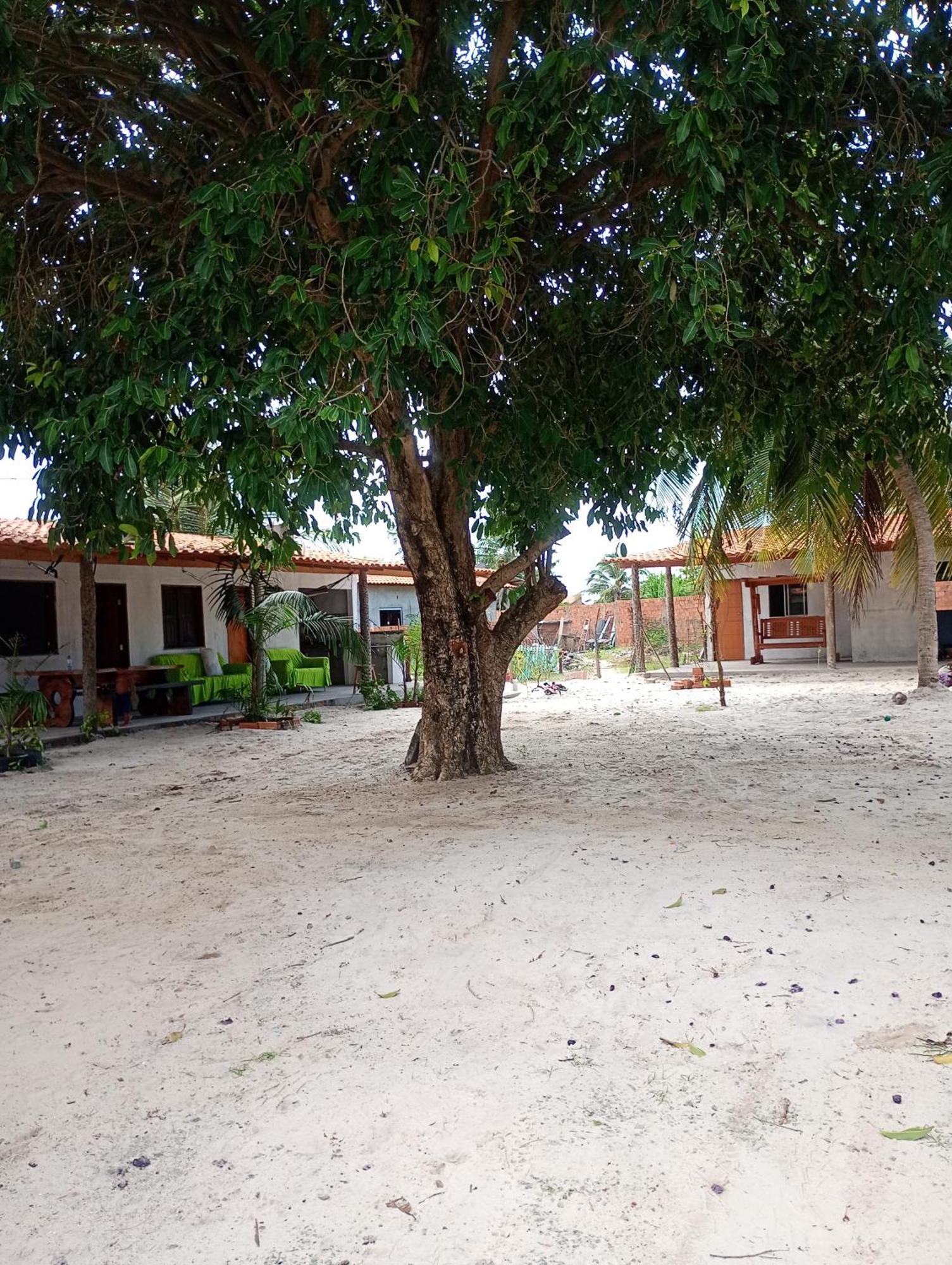 Pousada Shalom E Hostel Holly Land Santo Amaro do Maranhao Екстериор снимка